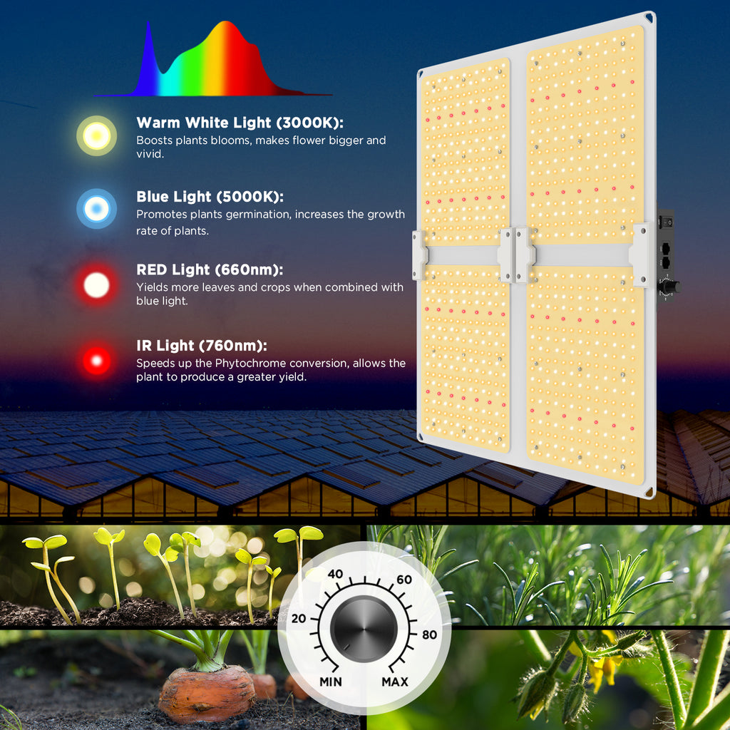 led grow lights for indoor plants grow light