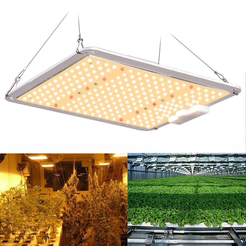 Lámpara de cultivo LED GH-1000 con LED Samsung LM301B, controlador MeanWell, luces de cultivo de espectro completo regulables en cadena para plantas de interior, verduras, flores, invernaderos