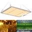 Lámpara de cultivo LED GH-1000 con LED Samsung LM301B, controlador MeanWell, luces de cultivo de espectro completo regulables en cadena para plantas de interior, verduras, flores, invernaderos