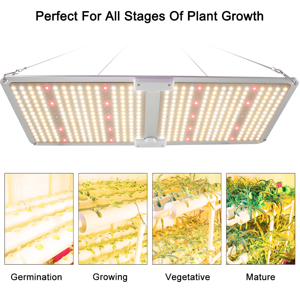 Lámpara de cultivo LED GH-2000 con diodos Samsung LM301B, controlador MeanWell, luces de cultivo regulables de espectro completo para plantas hidropónicas de interior, floración vegetal