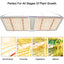 Lámpara de cultivo LED GH-2000 con diodos Samsung LM301B, controlador MeanWell, luces de cultivo regulables de espectro completo para plantas hidropónicas de interior, floración vegetal